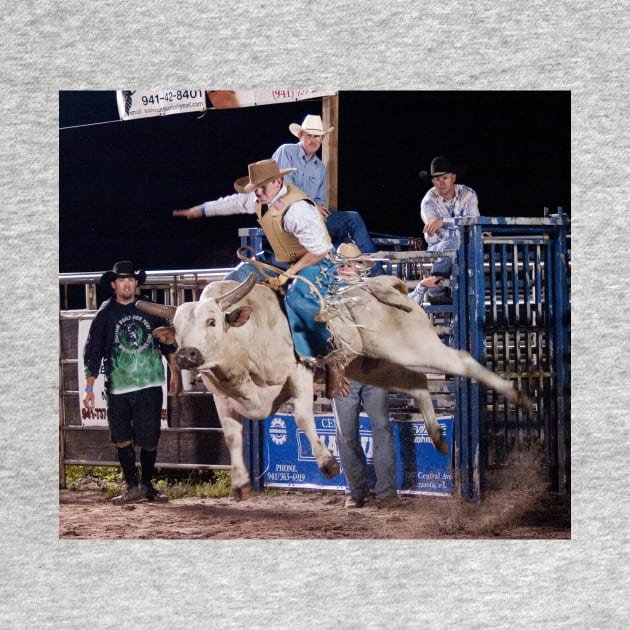 Bull Rider by joesaladino